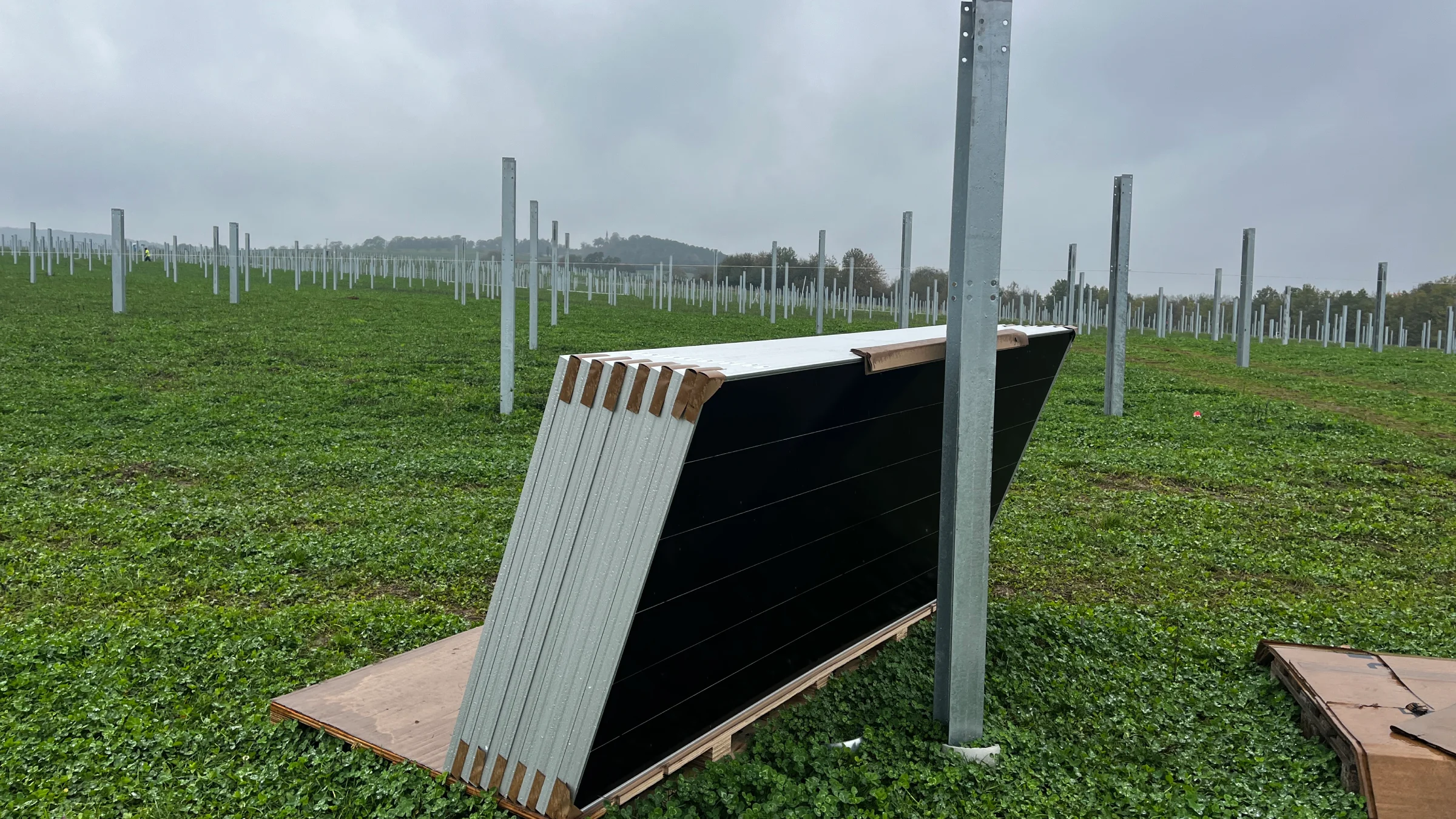 agri-pv-module
